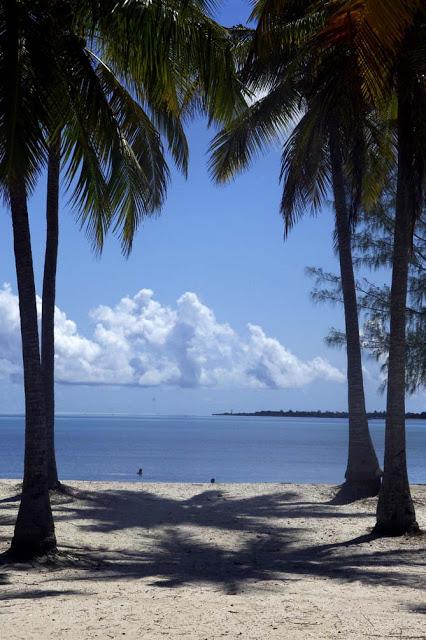 Islas nuestras de cada día