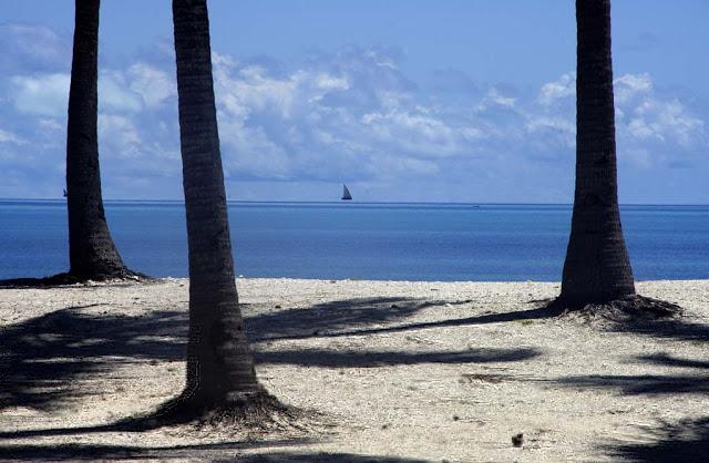 Islas nuestras de cada día