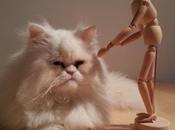 Patxi. Haciendo amigos