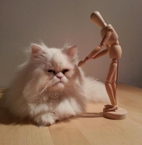 El Patxi. Haciendo amigos