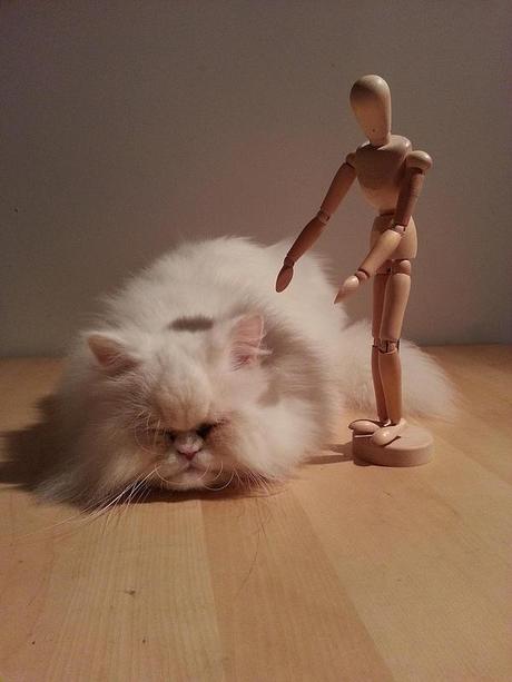 El Patxi. Haciendo amigos III