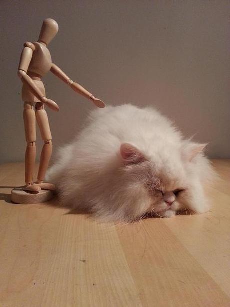 El Patxi. Haciendo amigos II