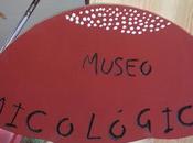 Obras Museo Micológico