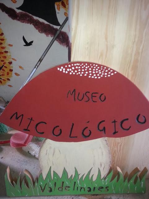 Obras del Museo Micológico