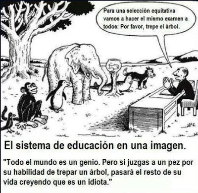 El Criticar e Igualar las habilidades de las personas, es de lo que mas degrada la Educación