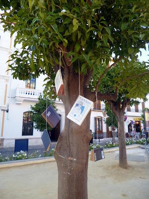 CRÓNICA de la Noche al Raso en Coín