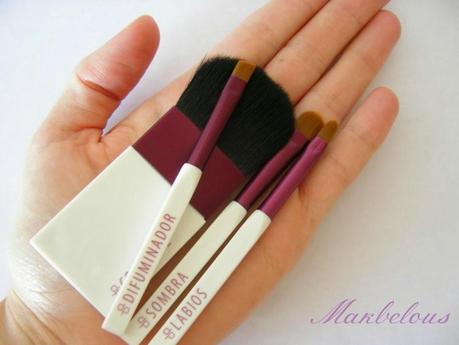 Nuevo set pinceles de viaje deliplus