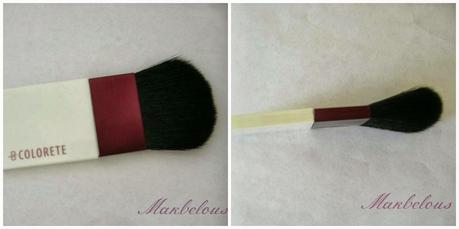 Nuevo set pinceles de viaje deliplus