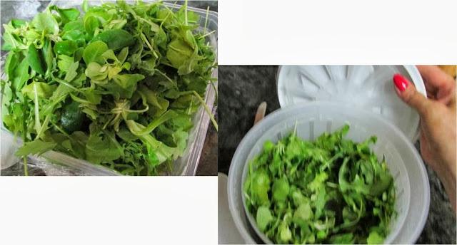 ENSALADA CON PITAYA ROJA