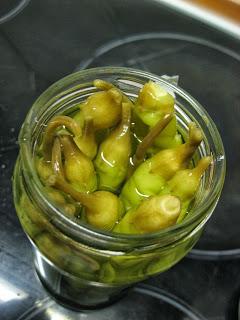 TACOS MEXICANOS¡¡¡¡ PERO DIFERENTES