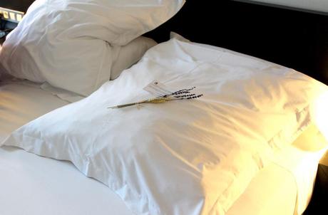  photo IMG_1860_zps8af49178.jpg