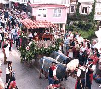 Propuestas para el fin de semana.