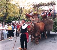 Propuestas para el fin de semana.