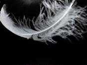 Random House Mondadori Novedades Octubre 2013