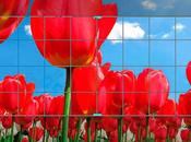 Autoredimensionar imágen destacada wordpress recortarla necesario