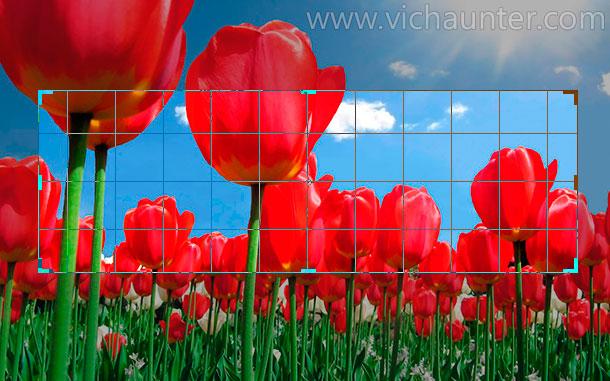 how-to-auto-cropping-resizing-wordpress