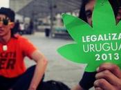 Uruguay, productor vendedor marihuana