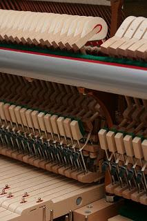 En lo profundo del cerebro