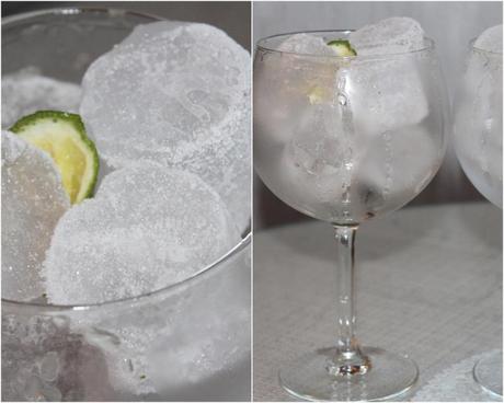 Gin Tonic (con Tanqueray) catsfff
