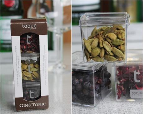 Gin Tonic (con Tanqueray) catsfff (2)