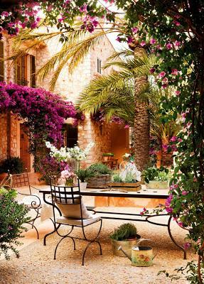 Flores de Bouganvillas en Espacios Rusticos