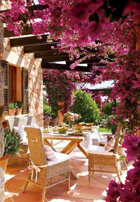 Flores de Bouganvillas en Espacios Rusticos