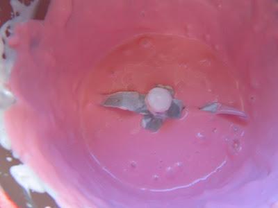 Vasitos de petit-suisses