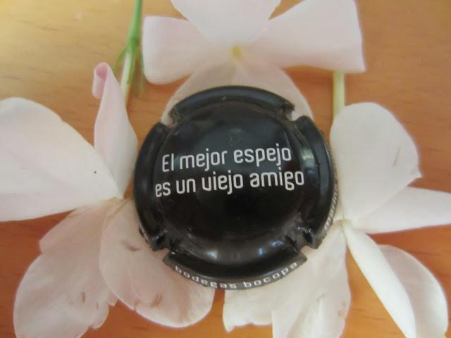 LOOK254-27.9.20138:15''ESTILO CASUAL''¡¡Amiga, por fin vi...