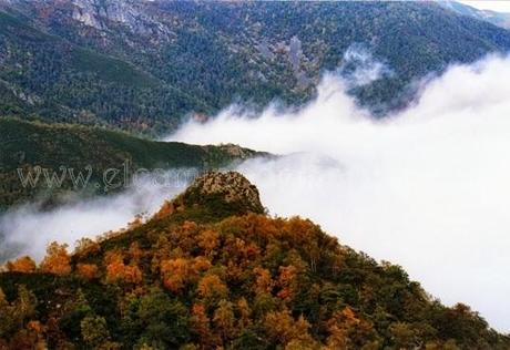 Muniellos, el bosque mágico de Asturias
