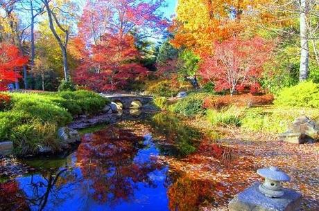 ruska otoño finlandes