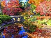 Astenia otoñal, consejos para superarla