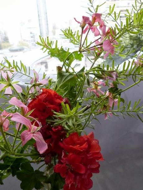 revista jengibre 2 | edición primavera