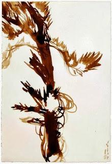 La pérdida de toda esperanza