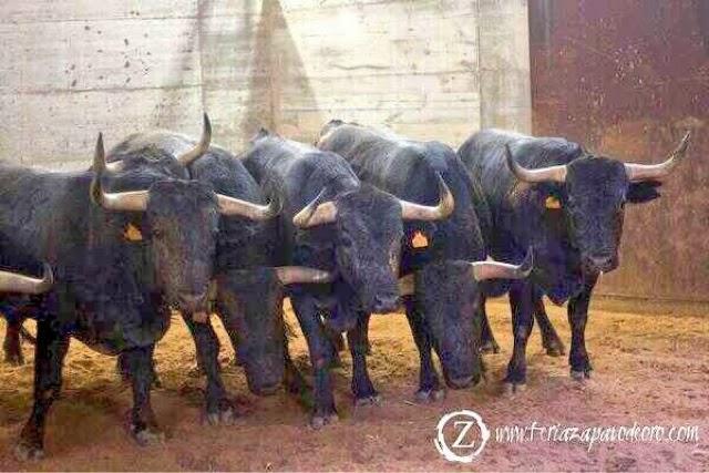 Figura de las de antes...