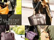 Sorteo Bolso Potro