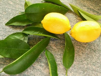 Paparajotes - Hojas de limon fritas - Follas de limon