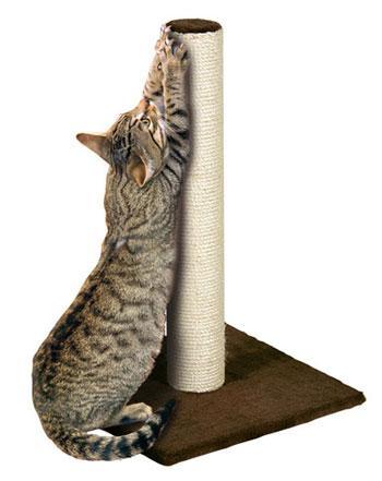 Cómo hacer que tu gato no arañe las cosas gato arañando poste rascador