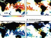 Establecen nuevos patrones distribución biodiversidad marina