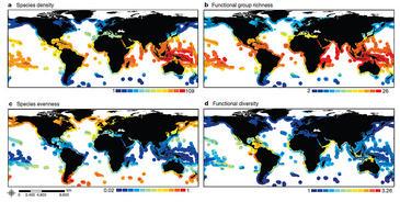 Patrones globales de diversidad de peces a partir de los censos cuantitativos de los buzos en 1.844 lugares. / IPNA.