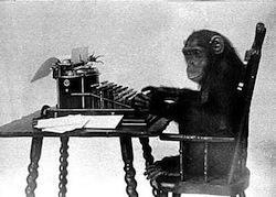 No todo sirve para escribir una novela