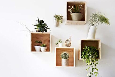 Decora con plantas 2