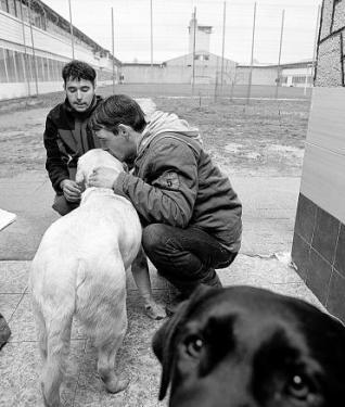 J. H. F. y J. R. G. dan mimos a los perros. 