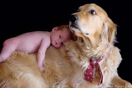 ¡NO REGALES UN ANIMAL POR NAVIDAD,NO ES UN JUGUETE!