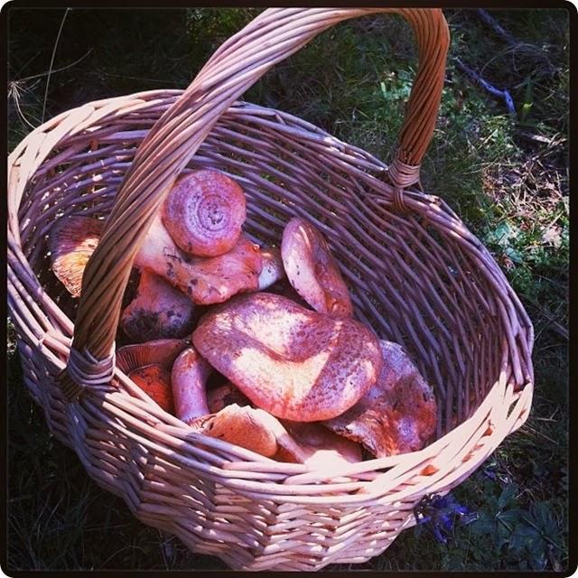 SUFICIENTE PARA LA COMIDA