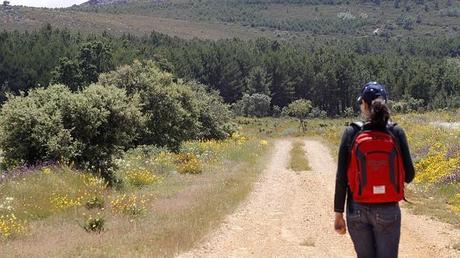 La España mágica donde asistir al espectáculo de la berrea