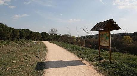 La España mágica donde asistir al espectáculo de la berrea