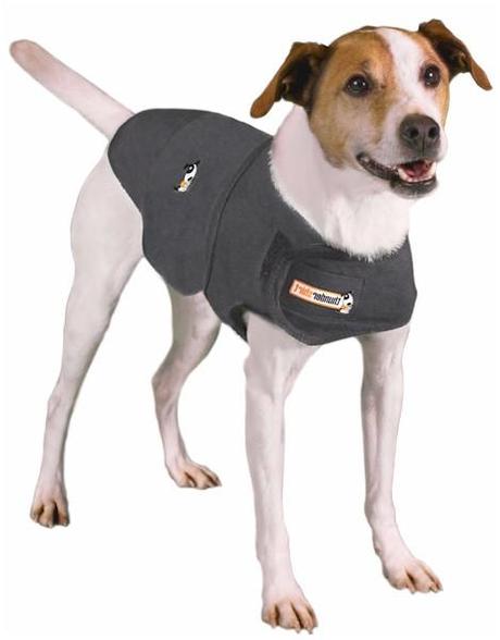 perro con thundershirt