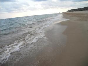 INSTANTANEAS DE LA PLAYA 02 megustaelmedionatural