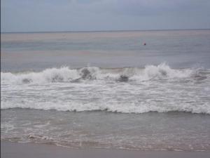 INSTANTANEAS DE LA PLAYA 01 megustaelmedionatural