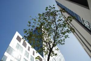 HUMANIZAR LA EMPRESA